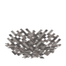 Dead Fire Coral Fan image