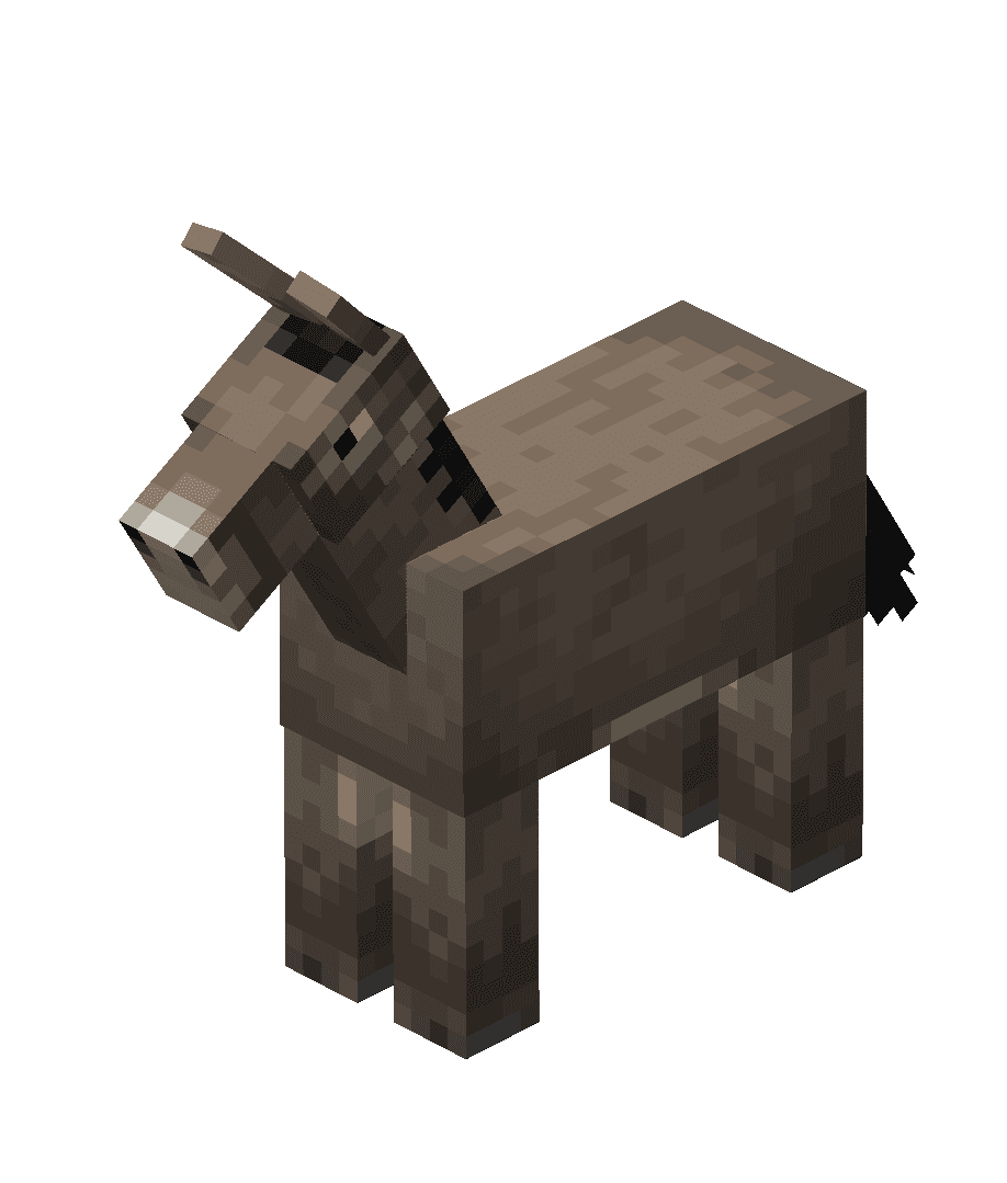 Donkey image
