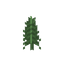 蕨