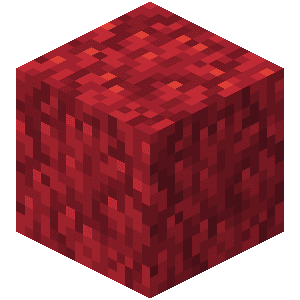 Fire Coral Block image