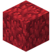 Ildkorallblokk