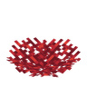 Fire Coral Fan image