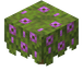 Blomstrende asalea