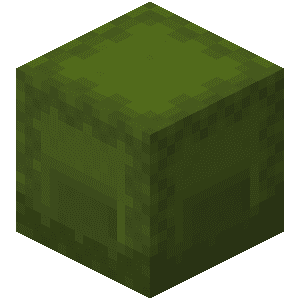 Boîte de shulker verte