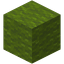 Green Wool