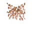垂根