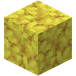 Hornkorallblokk