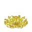 鹿角珊瑚扇