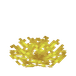 Hornkorallvifte