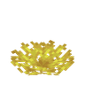 Horn Coral Fan image