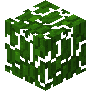 Jungletræsblade image