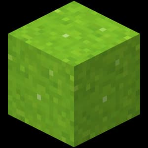 Lime Concrete Powder