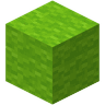Lime Wool image