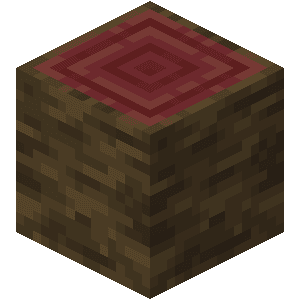 Mangrovekævle image