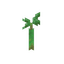 Mangrove Propagule