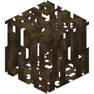 Mangrove Roots