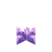 Mellomstor ametystknopp