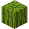 Melon image