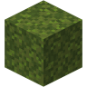 Moss Block