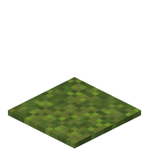 Moss Carpet