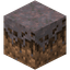 Mycelium