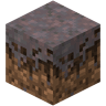 Mycelium image
