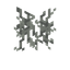 苍白垂须