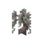 Blek ekplanta