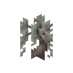 Паросток блідого дуба image