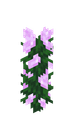 Peon