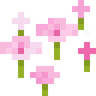 Pink Petals image