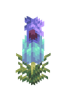 Pitcher Plant image