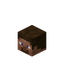 Player Head