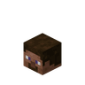 Player Head image