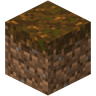 Podzol image