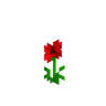 Poppy image