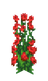 Rosbuske