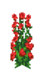 Rosier