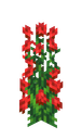 Rosebusk