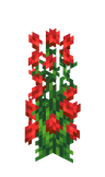 Rose Bush image