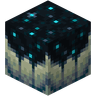 Sculk Catalyst image