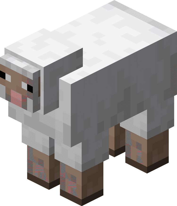 Sheep image