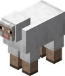 Sheep image