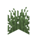 Kort gress