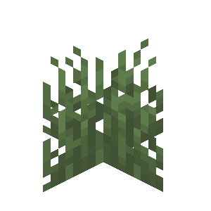 Herbes basses