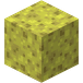 Svamp