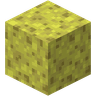 Svamp