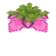 孢子花