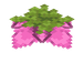 Moseblomst
