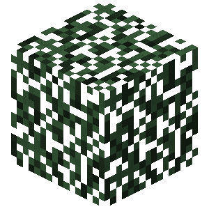 Spruce Leaves